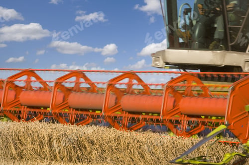 Preview: Close Up Of Combine Harvesting Wheat