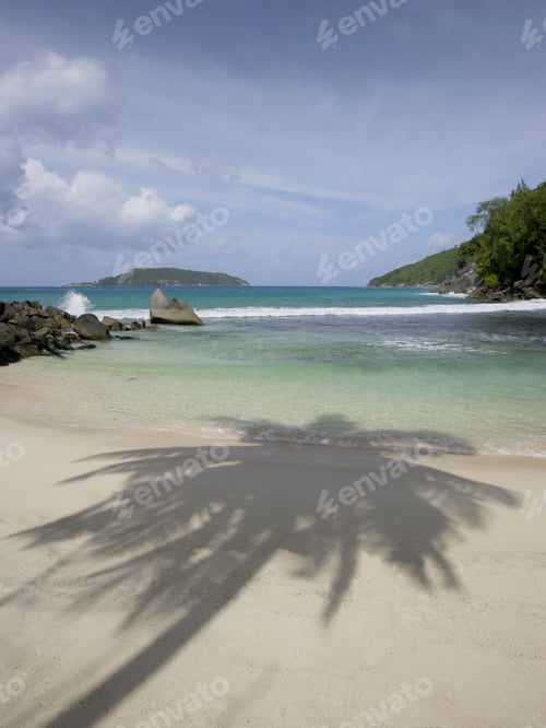 Preview: Shadow Of A Palm Tree On The Beach Of Mahe', Seychelles