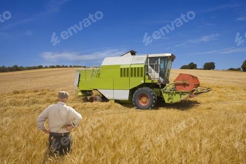 Preview: Farmer Watching Combine In Barley Field
