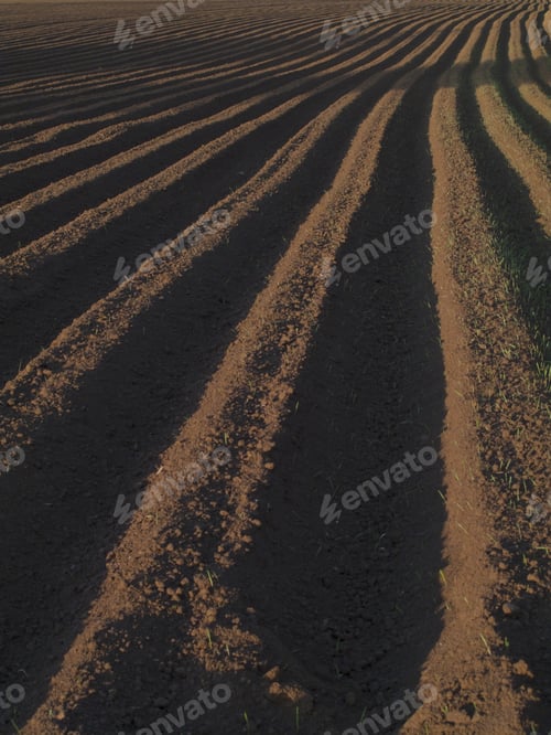 Preview: Ploughed Field