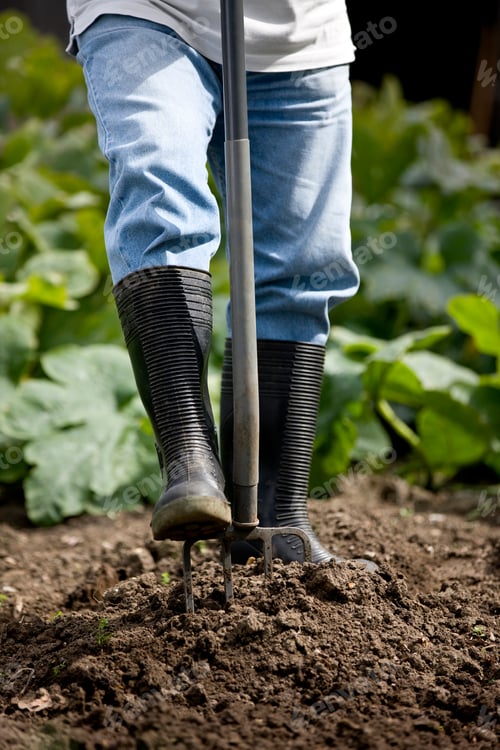 Preview: Detail Of Man With Garden Fork Digging On Allotment