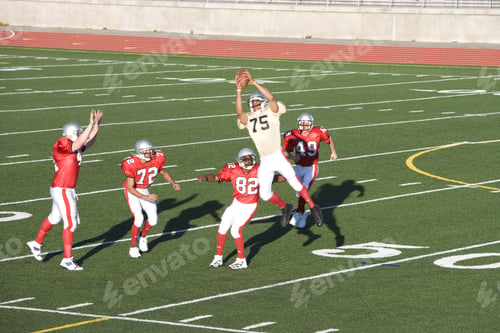 Preview: Opposing American Football Players Competing For Ball During Competitive Game, Offensive Receiver