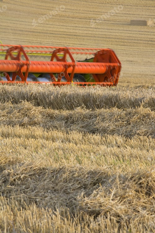 Preview: Combine Harvesting Wheat In Rural Field