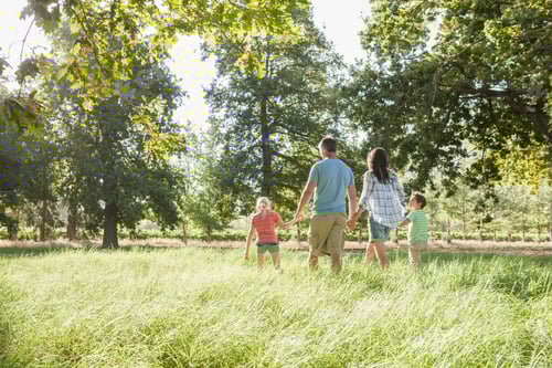Visualização: Família desfrutando de uma caminhada na bela paisagem
