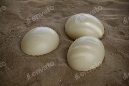 Preview: Detail View Of Three Ostrich Eggs Lying The Sand