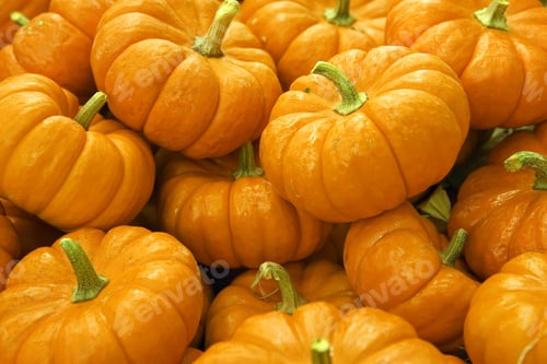 Preview: Large Pile Of Pumpkins, Close-Up (Full Frame)