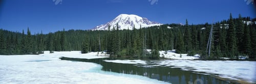 Preview: Mt. Rainier, Washington, Usa