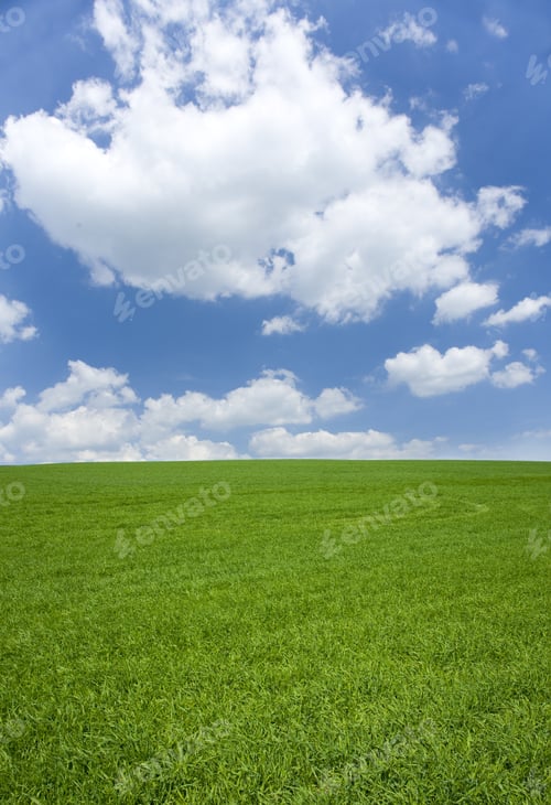 Preview: Field Of Grass And Cloudy Sky