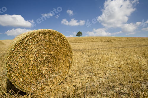 Preview: Hay Being Harvested Into Straw Bales In Farm Field