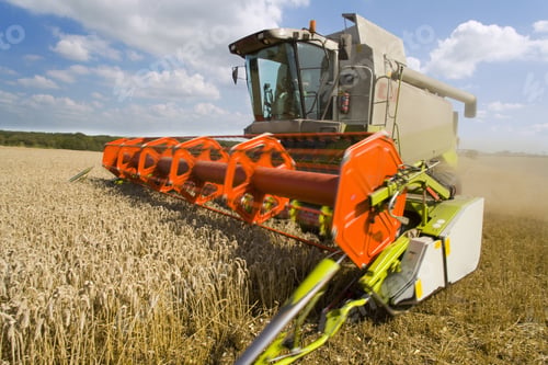Preview: Combine Harvesting Wheat In Sunny, Rural Field