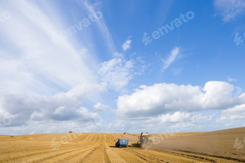 Preview: Combine Harvester Emptying Harvested Wheat Grain Into Tractor Trailer