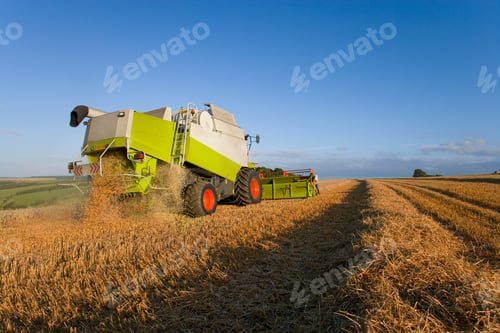 Preview: Combine Harvester Harvesting Wheat Field On Farm Against Blue Sky