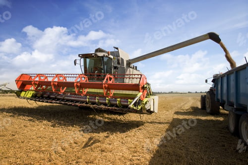 Preview: Combine Harvesting Wheat And Filling Trailer In Sunny, Rural Field