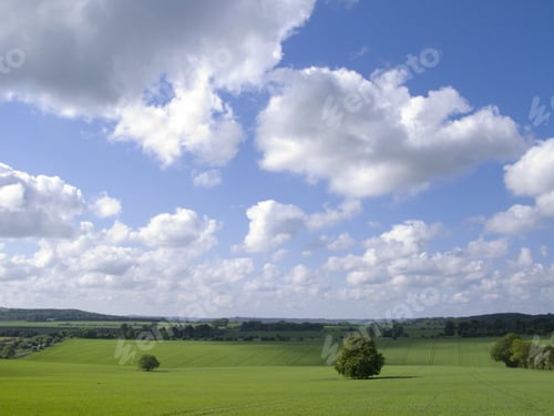 Preview: Green Fields And Cloudy Sky