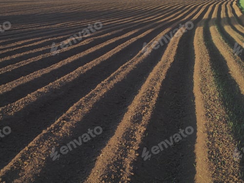 Preview: Ploughed Field