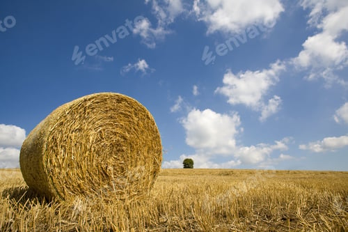 Preview: Hay Being Harvested Into Straw Bales In Farm Field