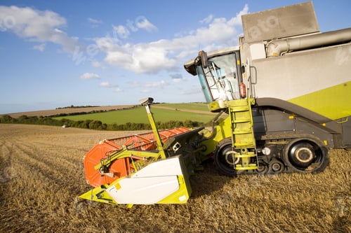 Preview: Combine Harvesting Wheat In Sunny Rural Field