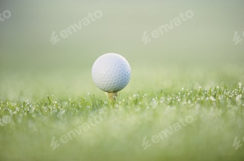 Preview: Detail View Of A Teed Golf Ball In The Grass