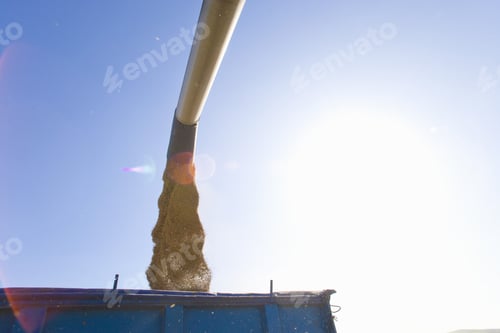 Preview: Barley Harvester
