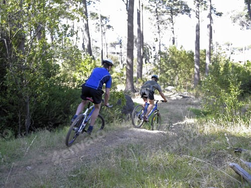 Preview: Rear View Of Two Men Mountain Biking