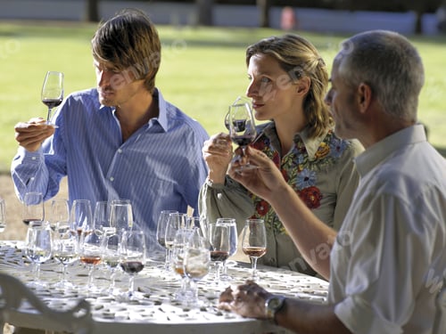 Preview: Wine Tasters Smelling Red Wine.