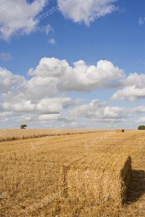 Preview: Clouds In Sunny Blue Sky Over Straw Bale In Wheat Field