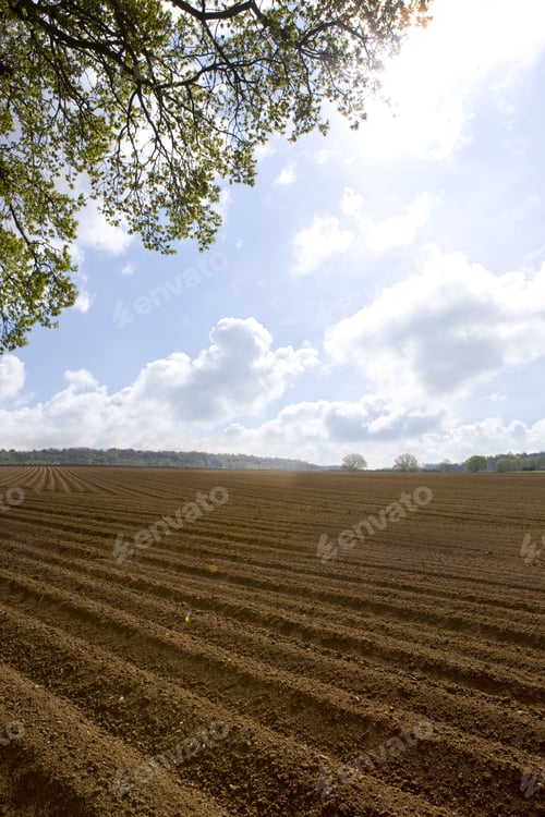 Preview: Ploughed Field