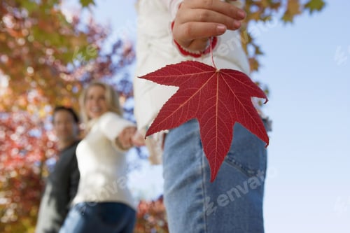 Preview: Family Walking In Park In Autumn, Focus On Girl Holding Red Maple Leaf In Foreground, Side View