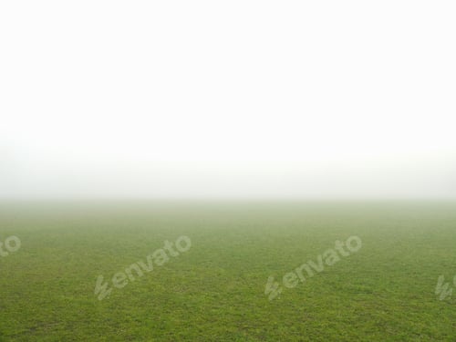 Preview: Fog Across Rural Field