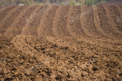 Preview: Close Up Of Ploughed Field