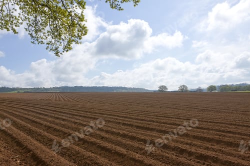 Preview: Ploughed Field