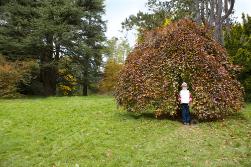 Preview: Portrait Of Girl Standing Against Tree In Park