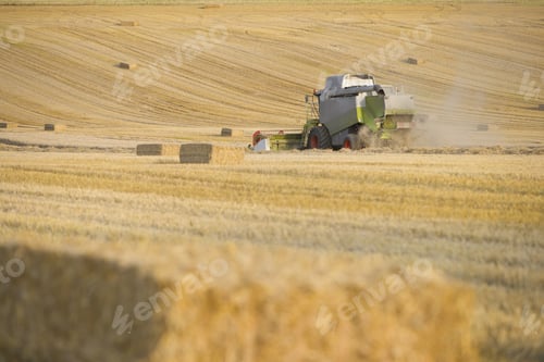Preview: Combine Harvesting Wheat In Sunny, Rural Field