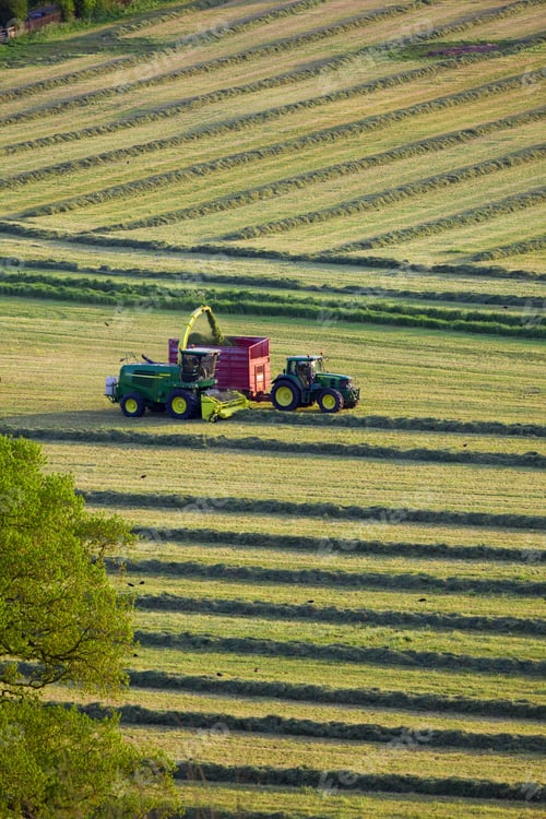 Preview: Tractors Cutting Silage And Filling Trailer In Field