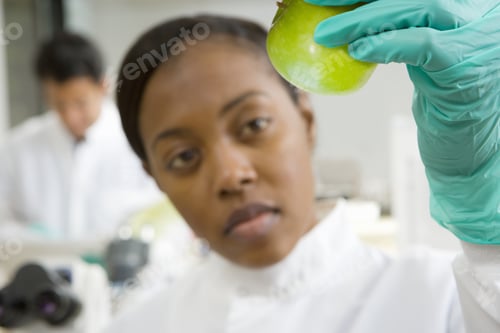 Preview: Close Up Of Scientist Holding Green Apple