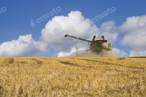 Preview: Combine Harvesting Wheat In Sunny Rural Field