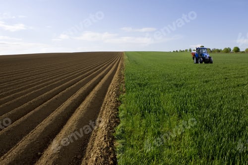 Preview: Tractor In Young Wheat Field Next To Ploughed Field
