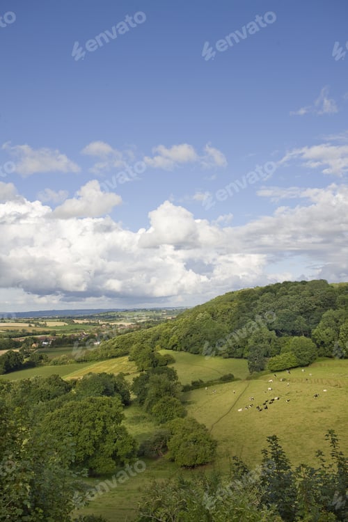 Preview: Scenic View Of Countryside