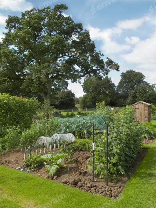 Preview: Rural Garden