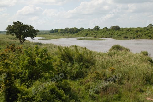 Preview: View Of The Sabie River, Kruger National Park, South Africa