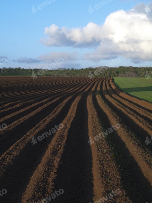 Preview: Ploughed Field