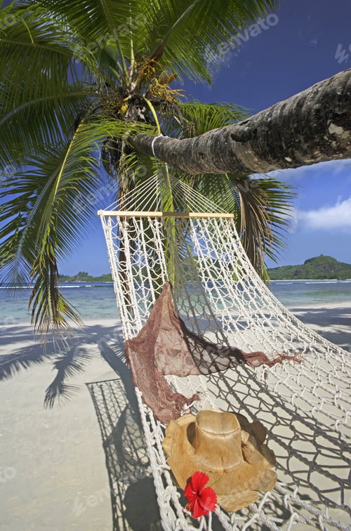 Preview: Palm Tree With Hat On Hammock On Beach, Mahe', Seychelles