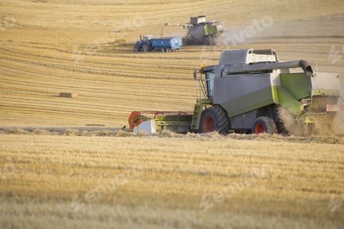 Preview: Combines Harvesting Wheat In Sunny, Rural Field