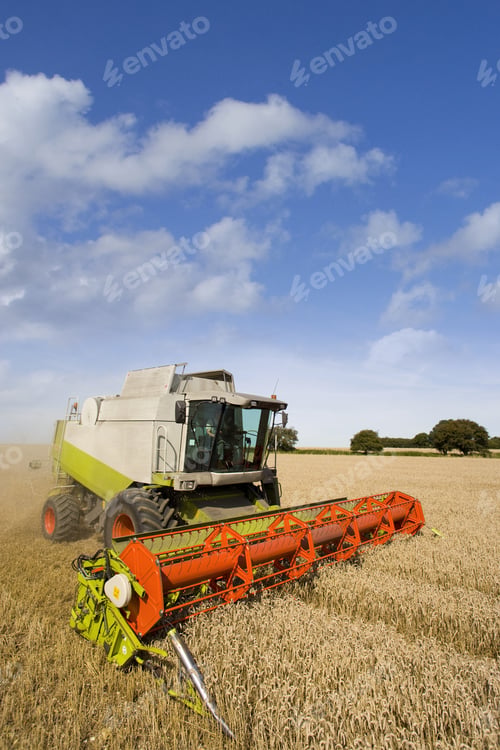 Preview: Combine Harvesting Wheat In Sunny, Rural Field