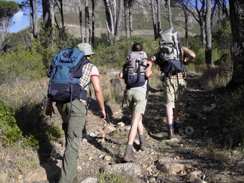 Preview: Rear View Of Two Men And A Woman Hiking In A Forest