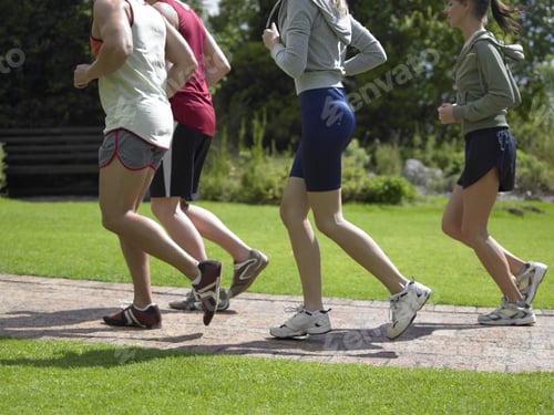 Preview: Side Profile Of Two Couples Running On A Lawn