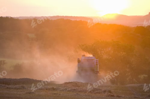 Preview: Combine Harvesting Wheat In Sunny, Rural Field