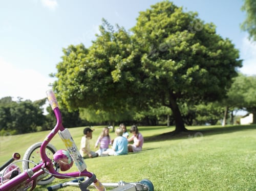 Preview: Group Of Children Sitting On Grass In Park, Bicycles In Foreground