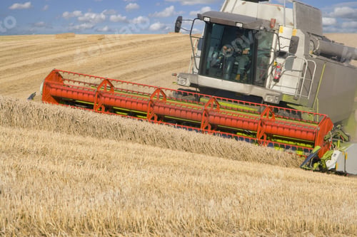 Preview: Combine Harvesting Wheat In Sunny, Rural Field
