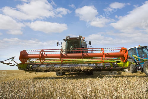 Preview: Combine Harvesting Wheat In Sunny, Rural Field